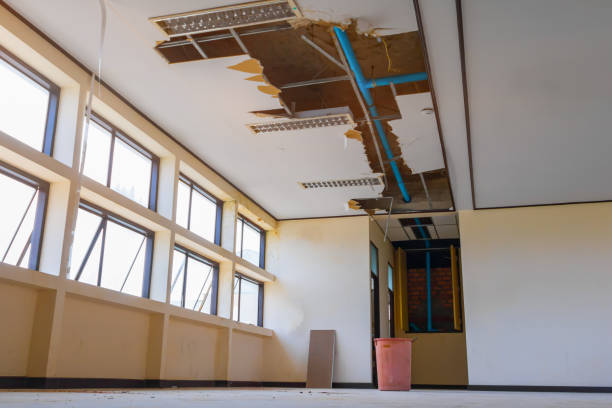 Best Basement water damage restoration  in Connell, WA