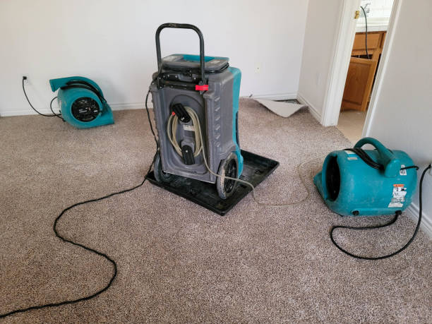 Best Professional water damage repair  in Connell, WA