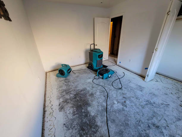 Best Flood restoration services  in Connell, WA