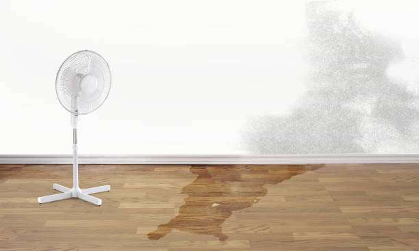 Best Water damage restoration near me  in Connell, WA