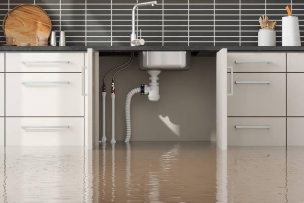 Professional Water damage restoration in Connell, WA